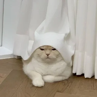 Sticker Больше стиков тут: @stikery4 - 5