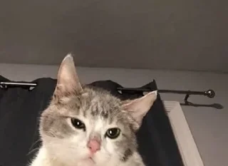 Sticker Больше стиков тут: @stikery4 - 8