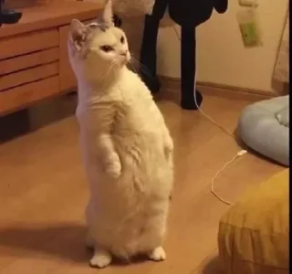 Sticker Больше стиков тут: @stikery4 - 7