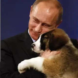 Sticker 🦄 Стики тут 👉 @WeStickerbot - 11