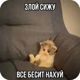 Стикер Больше стиков тут: @stikery4 - 9
