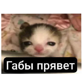 Стикер Больше стиков тут: @stikery4 - 2