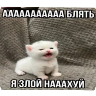 Стикер Больше стиков тут: @stikery4 - 4