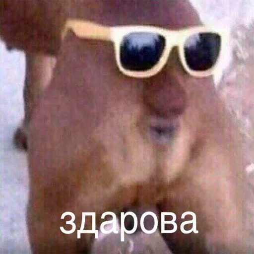 аксессуар очки Очки