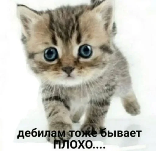 Sticker Больше стиков тут: @gostikers - 11