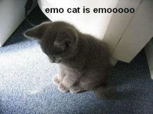 Sticker Больше стиков тут: @gostikers - 2