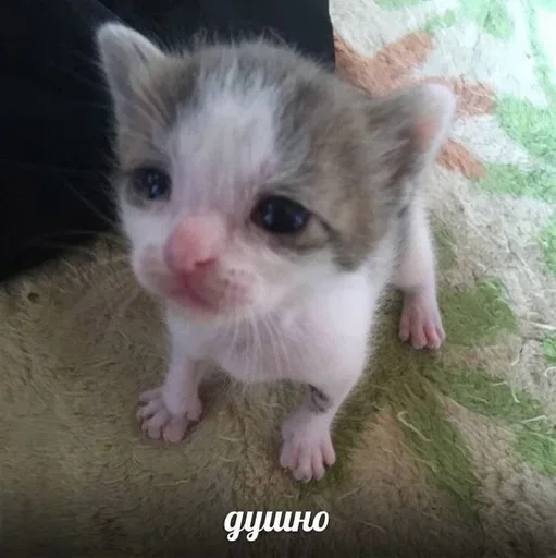 Sticker Больше стиков тут: @gostikers - 1