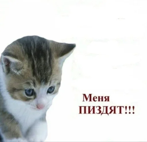 Sticker Больше стиков тут: @gostikers - 0