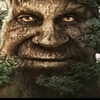 Mystical tree meme - 