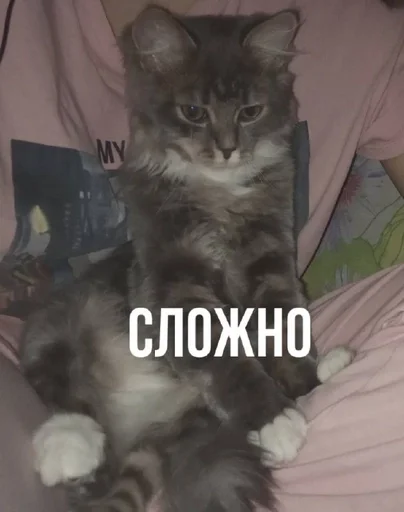 Sticker GantsRadixBarns :: @fStikBot - 5