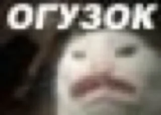 Sticker Больше стиков тут: @stikery4 - 2