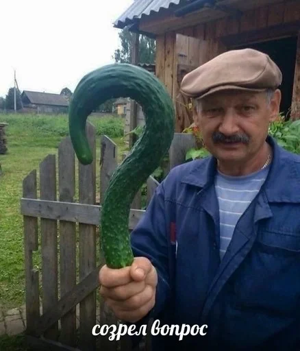 person outdoor grass