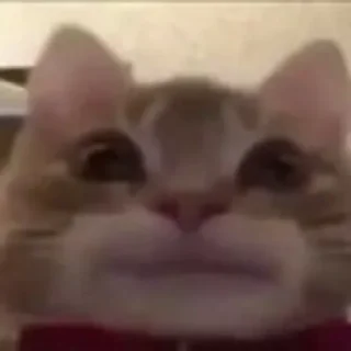 Стикер xyli - 8