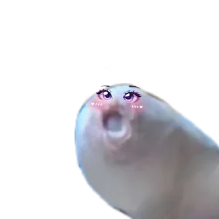 Sticker Хуëвые стикеры - 3