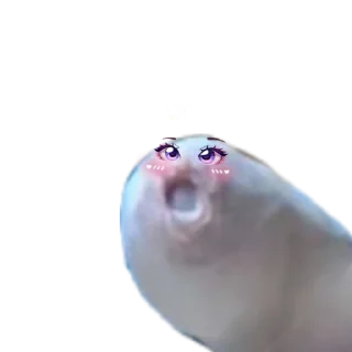 Sticker Хуëвые стикеры - 1