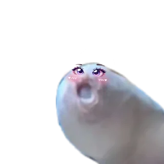 Sticker Хуëвые стикеры - 2
