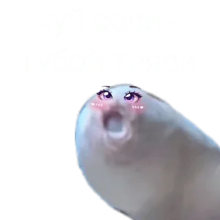 Sticker Хуëвые стикеры - 4