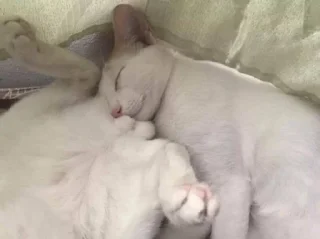 Sticker твоя игра - 10