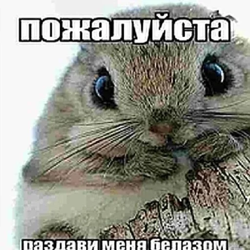 Sticker yFlbKCL_by_stickers_stealer_bot - 1