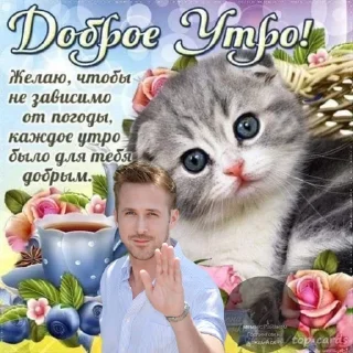 Стикер Больше стикеров 👉🏻 @stickertg4 - 8