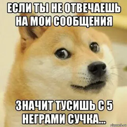 Sticker Димотивитор (Created By: @StikerProBot) - 9