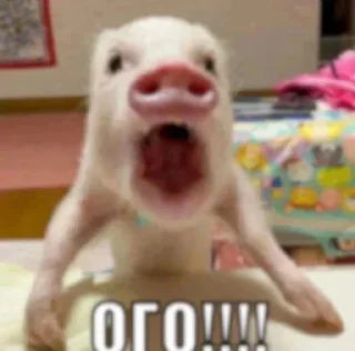 Стикер Больше стикеров 👉🏻 @stickertg4 - 2