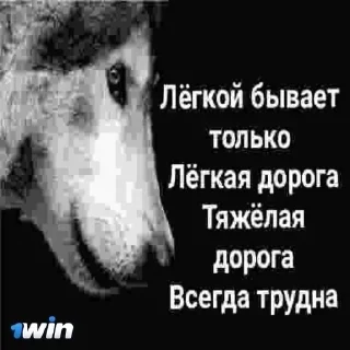 Стикер Больше стикеров 👉🏻 @stickertg4 - 9