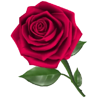 Sticker @Awraq_Alyasmin ورد2 - 2