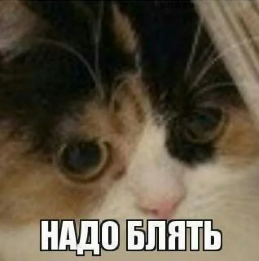 Sticker YT04KA's ST1CK3RP4CK - 3