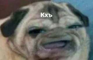 Стикер ebobo - 2