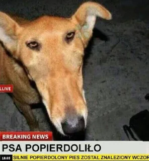 Стикер ebobo - 7