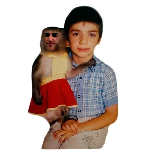 Стикер Я КУРДИ @staya_alerts - 3