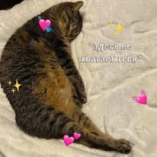 Стикер милые стикеры - 4