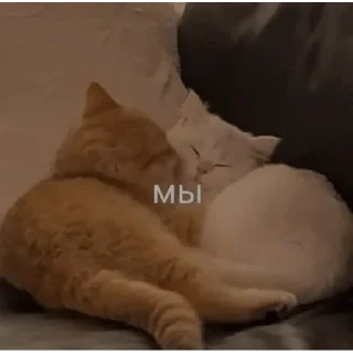 Стикер милые стикеры - 9