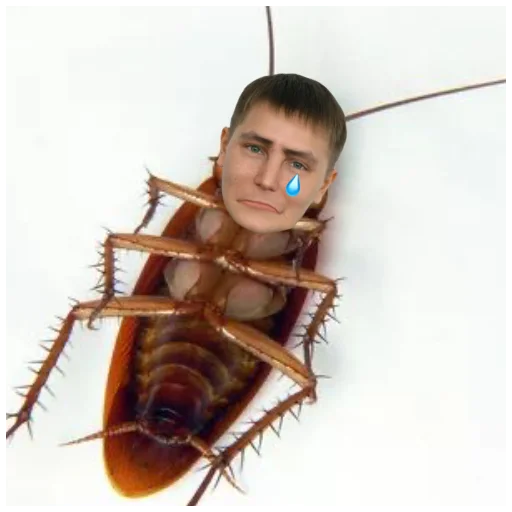 ТАРАКАНОВ - 