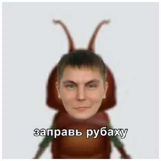 Sticker ТАРАКАНОВ - 2