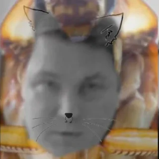 Sticker ТАРАКАНОВ - 4