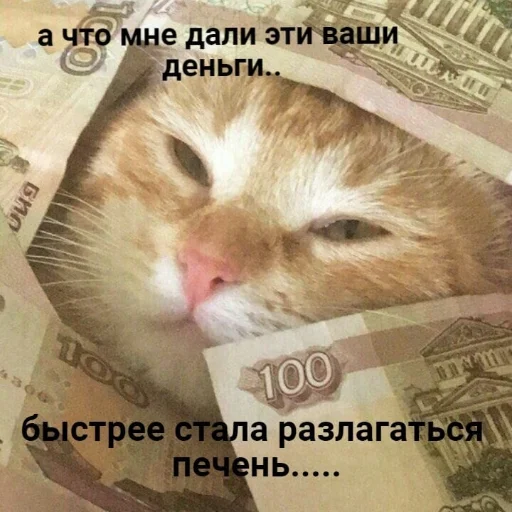 Стикер ya_toxic - 1