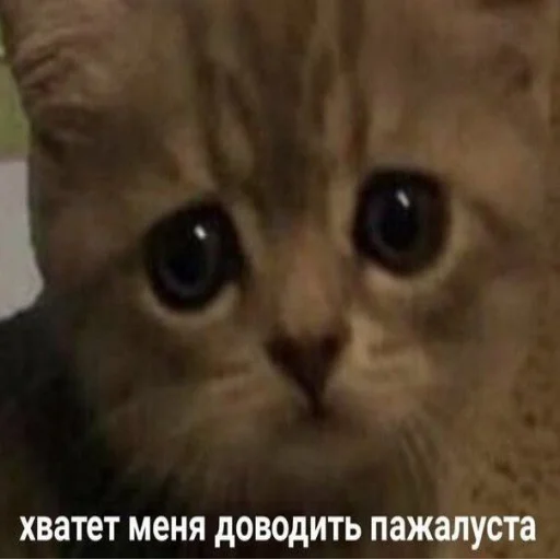 Sticker ya_toxic - 1