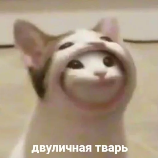 Sticker ya_toxic - 1