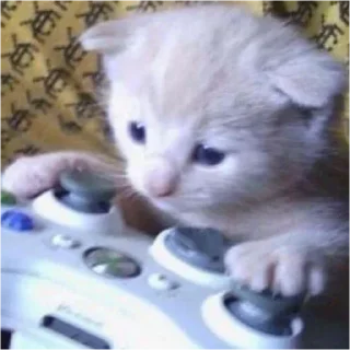 Sticker cfvnblfey @dectiob_36 - 4