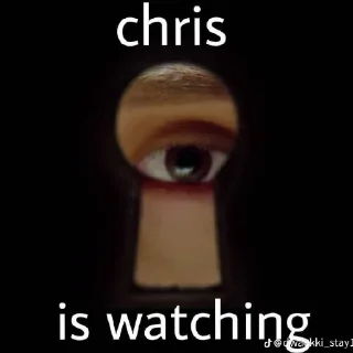 Sticker 50 відтінків Кріса - 1