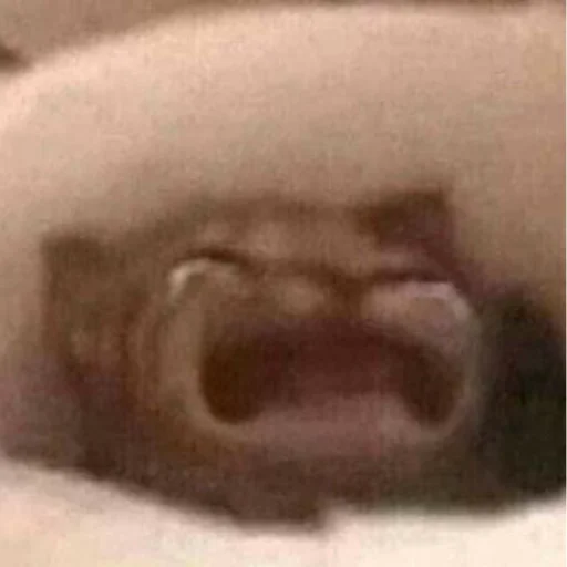 дыра Человек