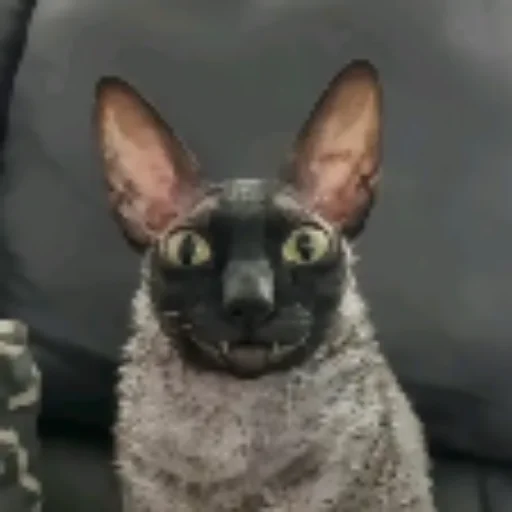 Ядовитый и летучий - 