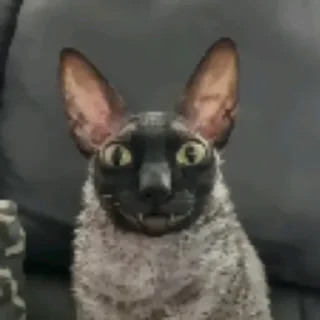 Sticker Ядовитый и летучий - 2