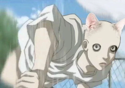 cat mammal illustration