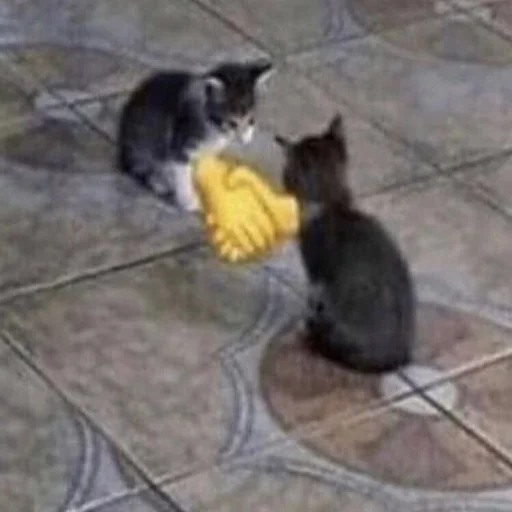 Sticker brawlstars naebalovo online - 4