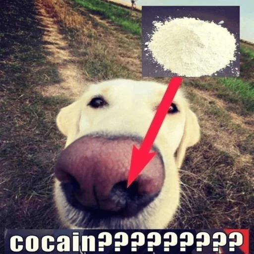 ура роблокс - 