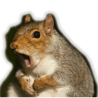 Стикер Approach @stickersb2b - 5