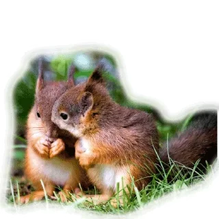 Стикер Approach @stickersb2b - 8